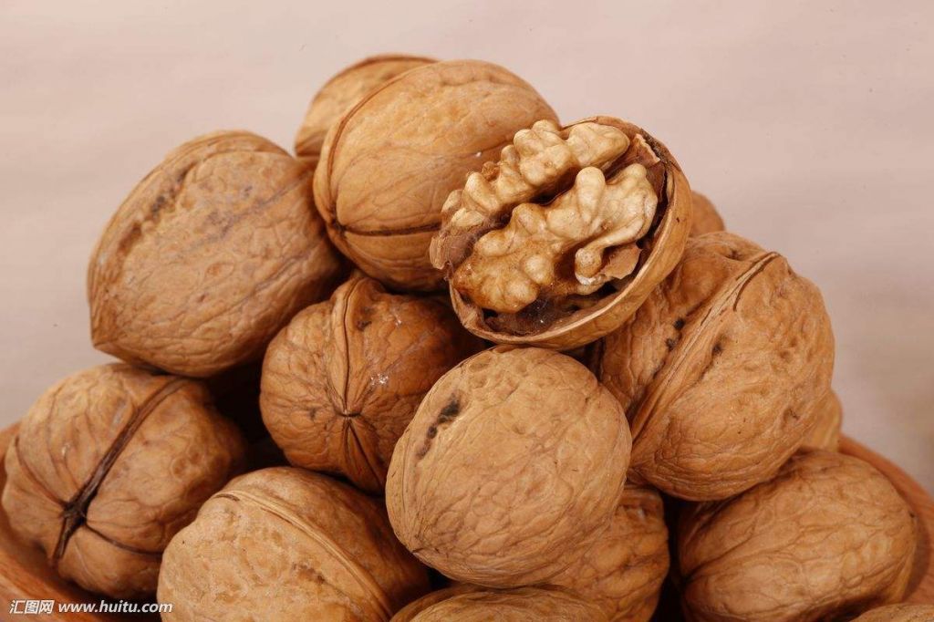 TTN Chinese Suppliers Wholesale Organic Raw Walnuts in Shell Walnut Kernels Price