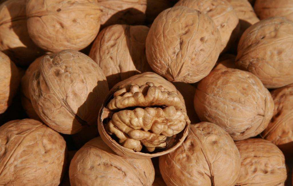 supply whole walnuts with shell in 1kg package