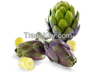 frozen Artichoke