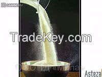 WHOLE MILK POWDER