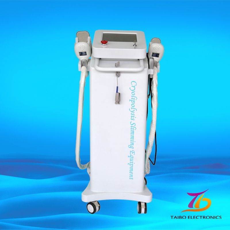 Effective Cryolipolysis weight loss+CE+body slimming