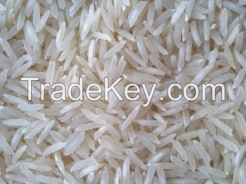 PUSA 1509 BASMATI  RICE 