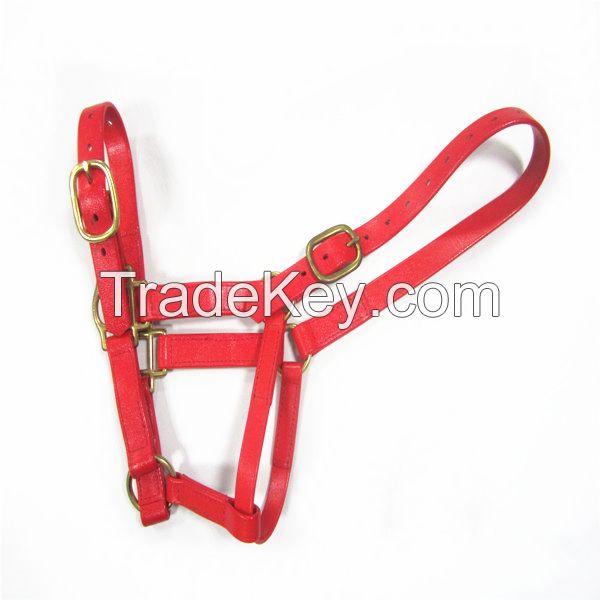 PVC Horse halter with solid brass fittings