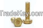 Brass Screw