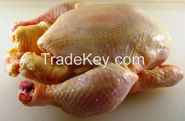 Whole Frozen Chiken, Chiken Feets and Paws, Turkey Meat