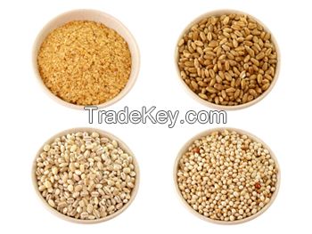 high quality wheat grain