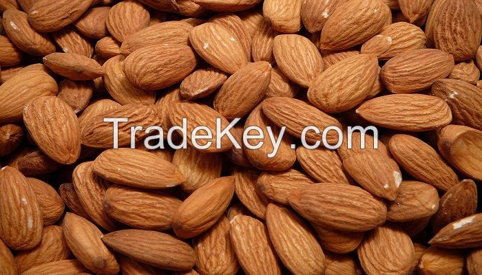 Quality Almond Nuts, Cashew nuts and other available
