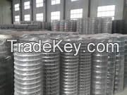 Welded Wire Mesh