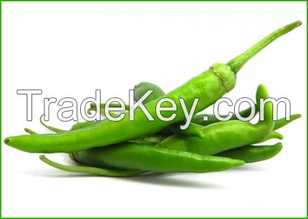 Long Green Pepper