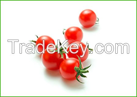 Cherry Tomatoes