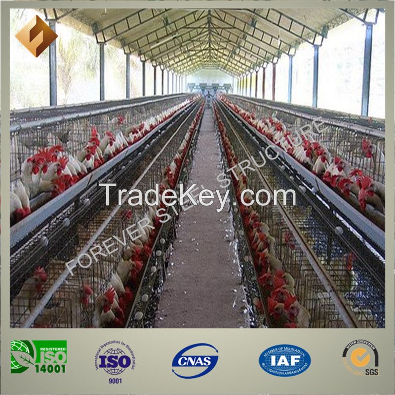 Low-Cost Modern Steel Structure Poultry Farm