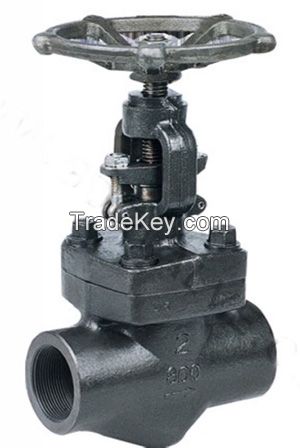 Forged steel globe valve