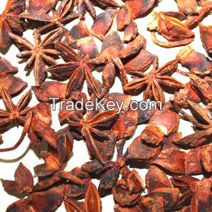 Star Anise With Stem