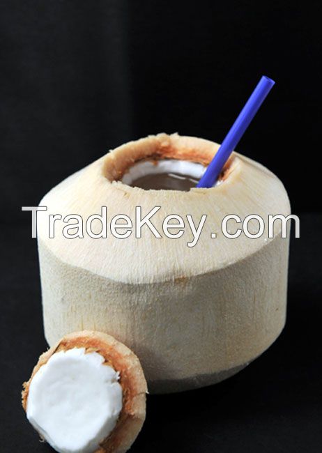 Fresh coconuts