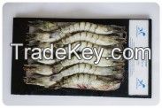 Black Tiger Shrimp (HOSO BT)