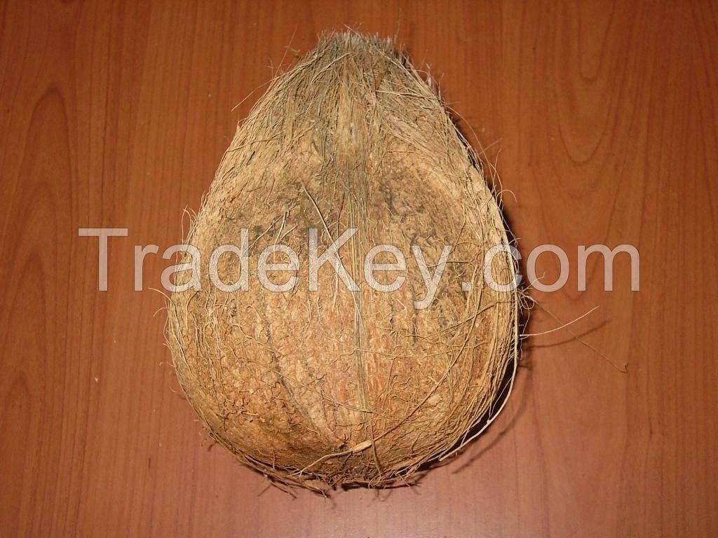 Coconuts -Semi Husk