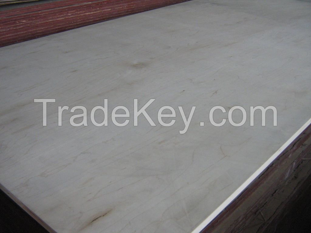 Plywood for construction usage, baltic birch plywood
