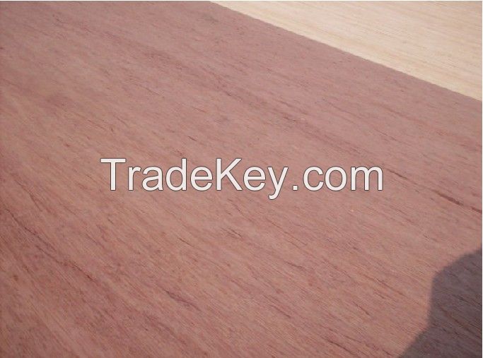 varies plywood/furniture plywood/packing plywood/construction plywood