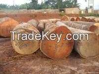 African Hardwood Logs and Timber