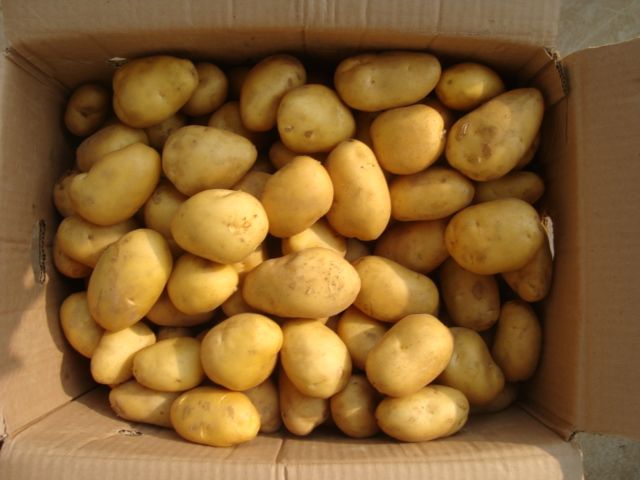 Best Price Potatoes