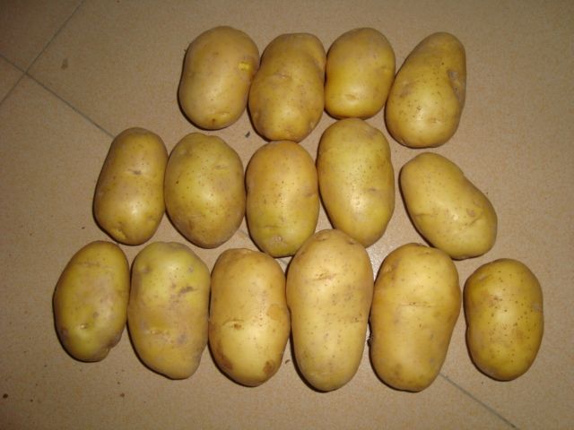 Fresh Potatoes