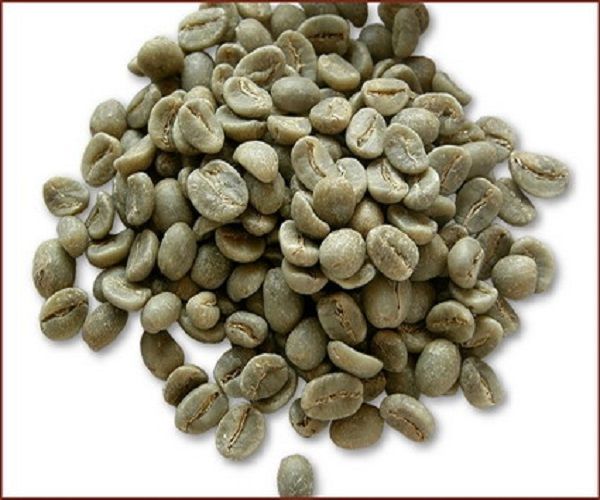 Quality Arabica Coffee