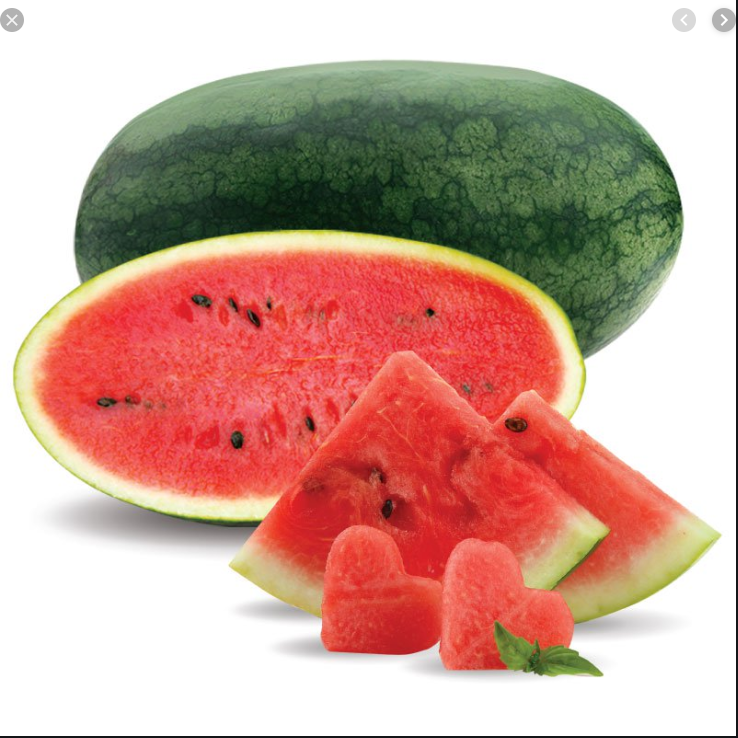 Best melon supplier