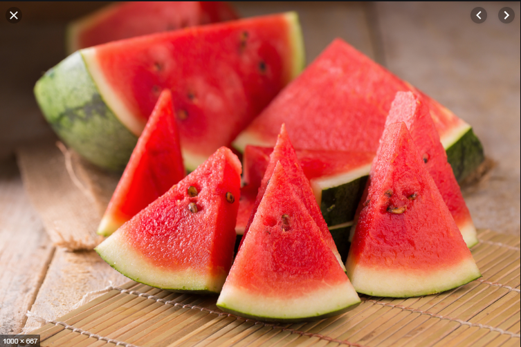 Best melon supplier