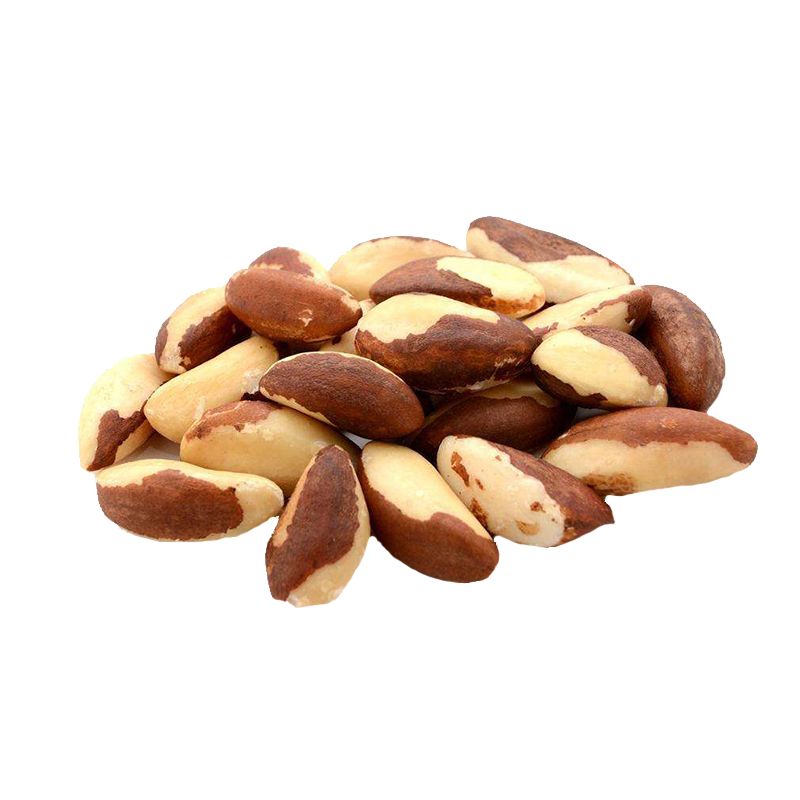 Quality brazil nuts wholesale