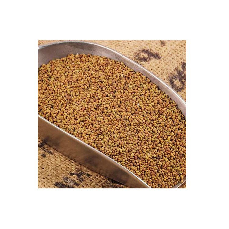 Best alfalfa seeds