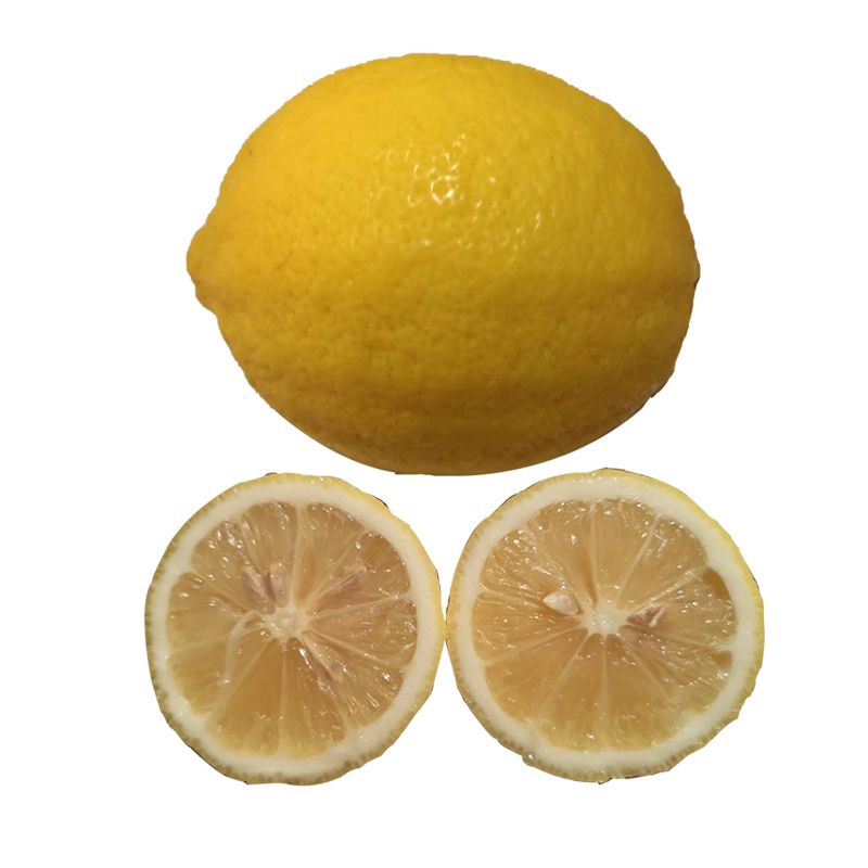 Best lemon