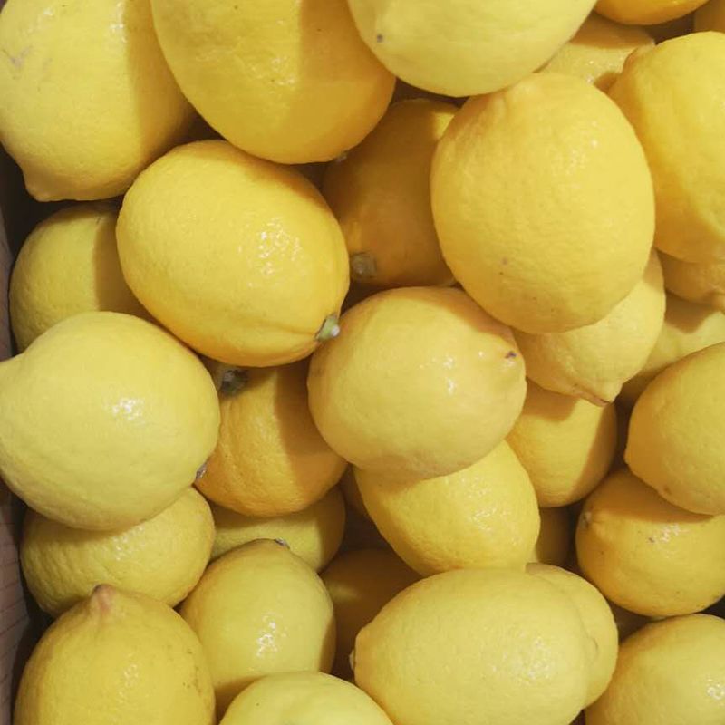 Fresh lemon fruit