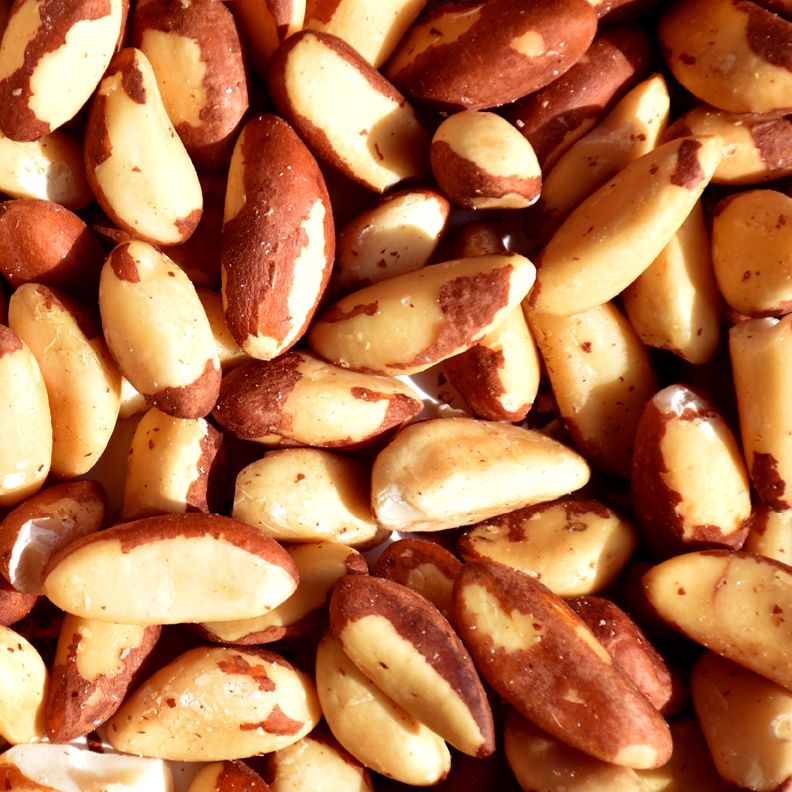 Quality brazil nuts wholesale