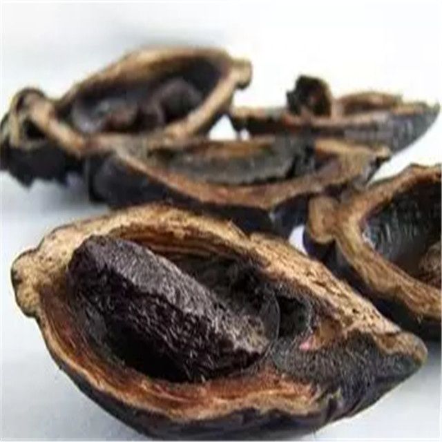 Best betel nuts Supplier