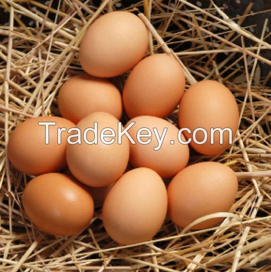 Fresh Brown and white standard eggs