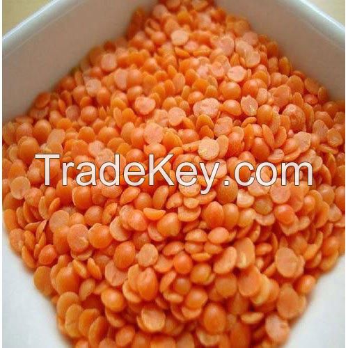 Dry quality  Lentil 