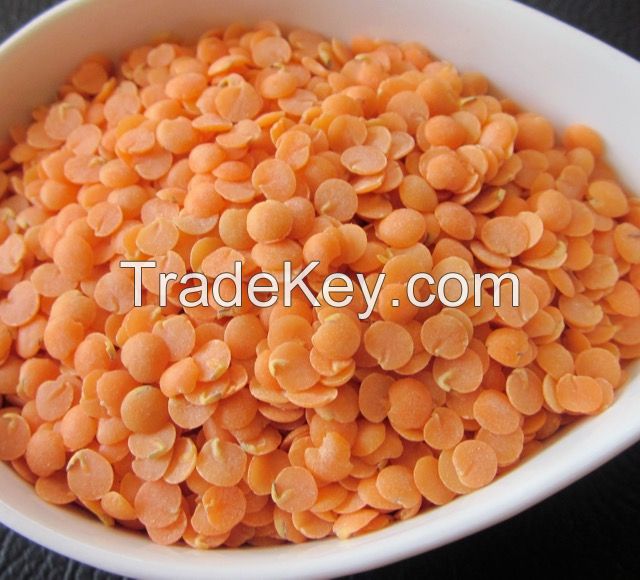 Red Lentil