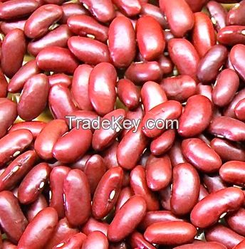 Red,Black and White Kidney Beans 