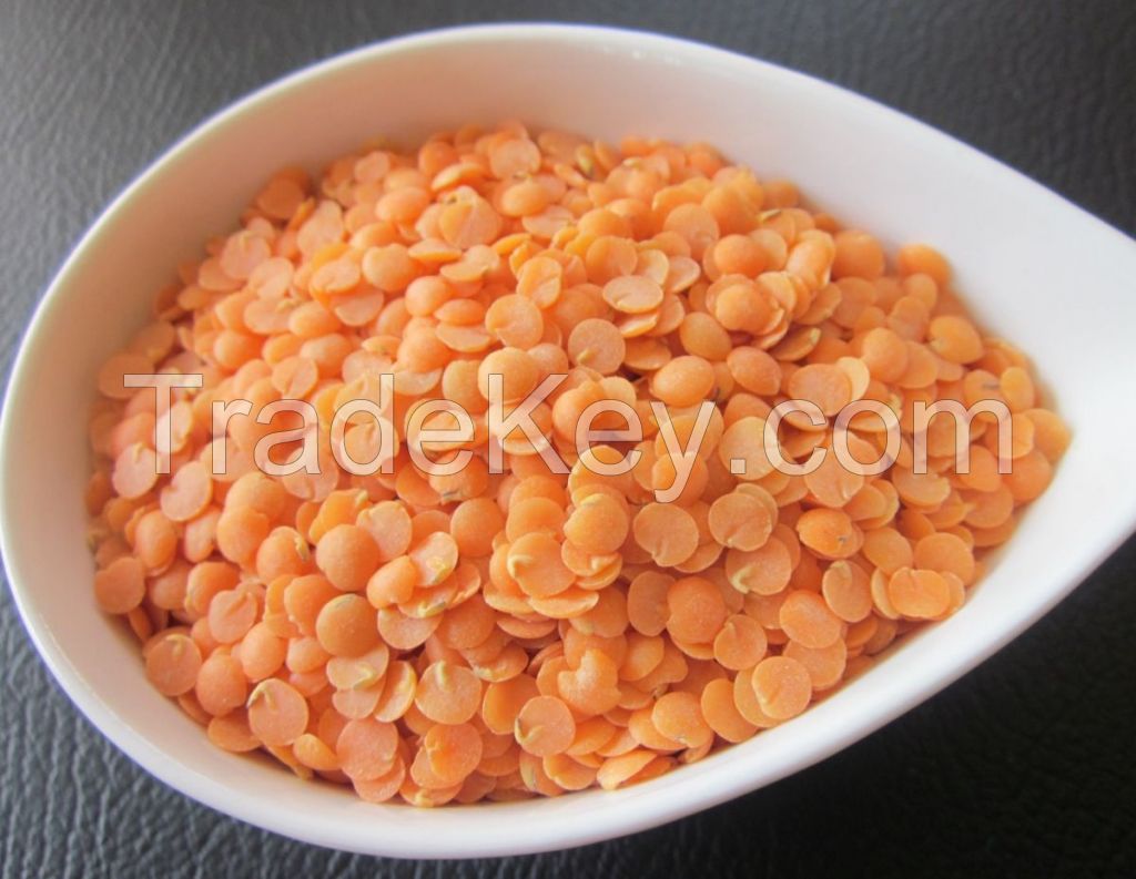 Red Lentil