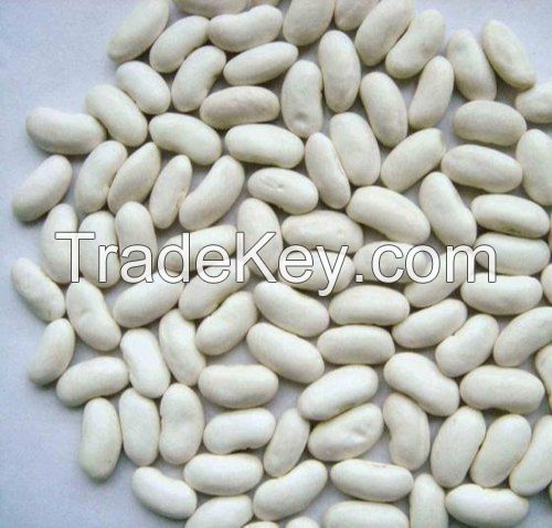 White Kidney Beans