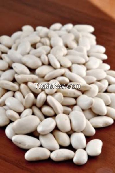 White Kidney Beans