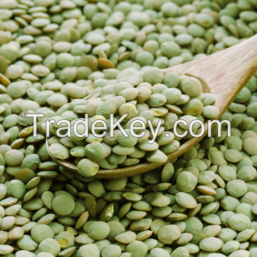 Green  Lentil