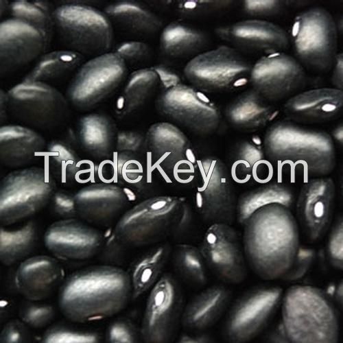 Red,Black and White Kidney Beans 