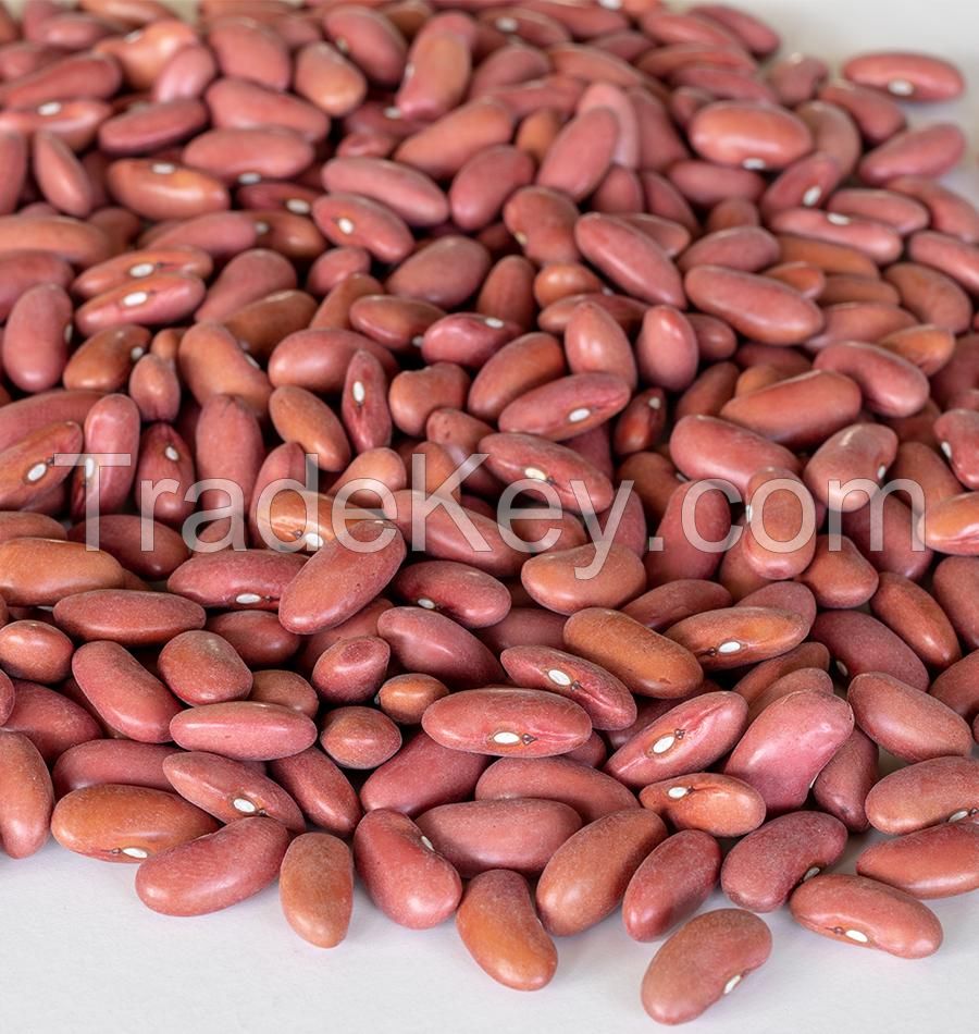 Red Kidney Beans