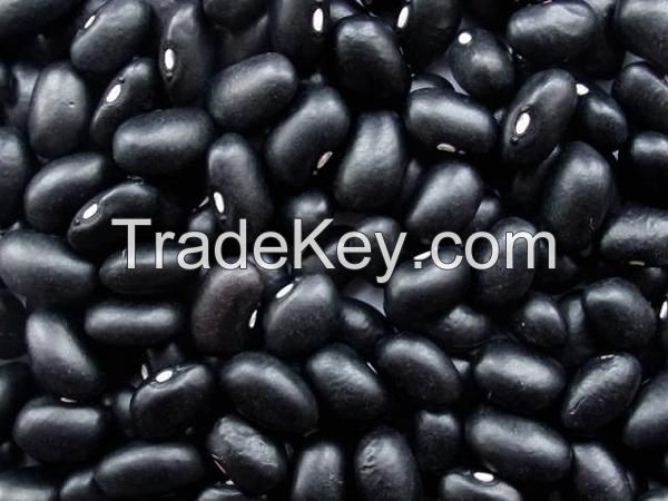 Black White Kidney Beans 