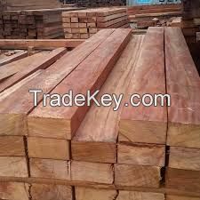 Top Pachy wood