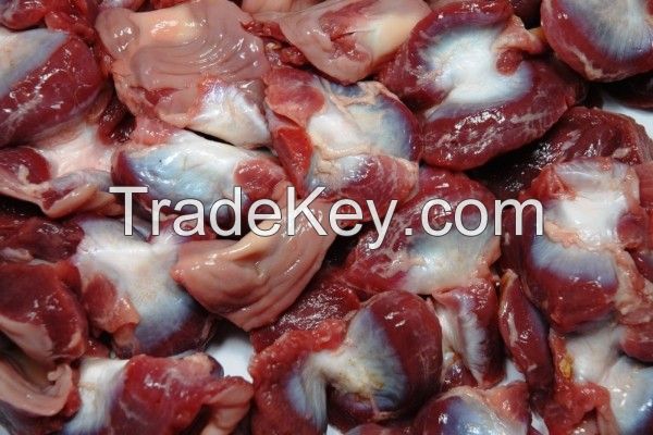 Halal Frozen Chicken Gizzards 