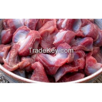 Halal Frozen Chicken Gizzards