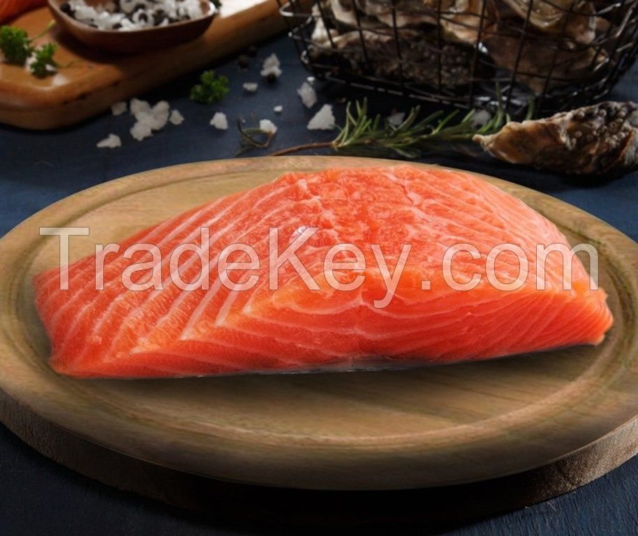 Fresh Salmon Fish Fillet