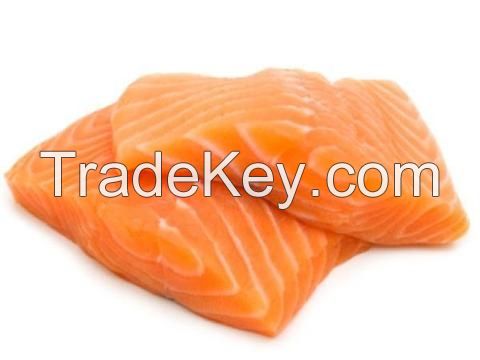 Fresh Salmon Fish Fillet